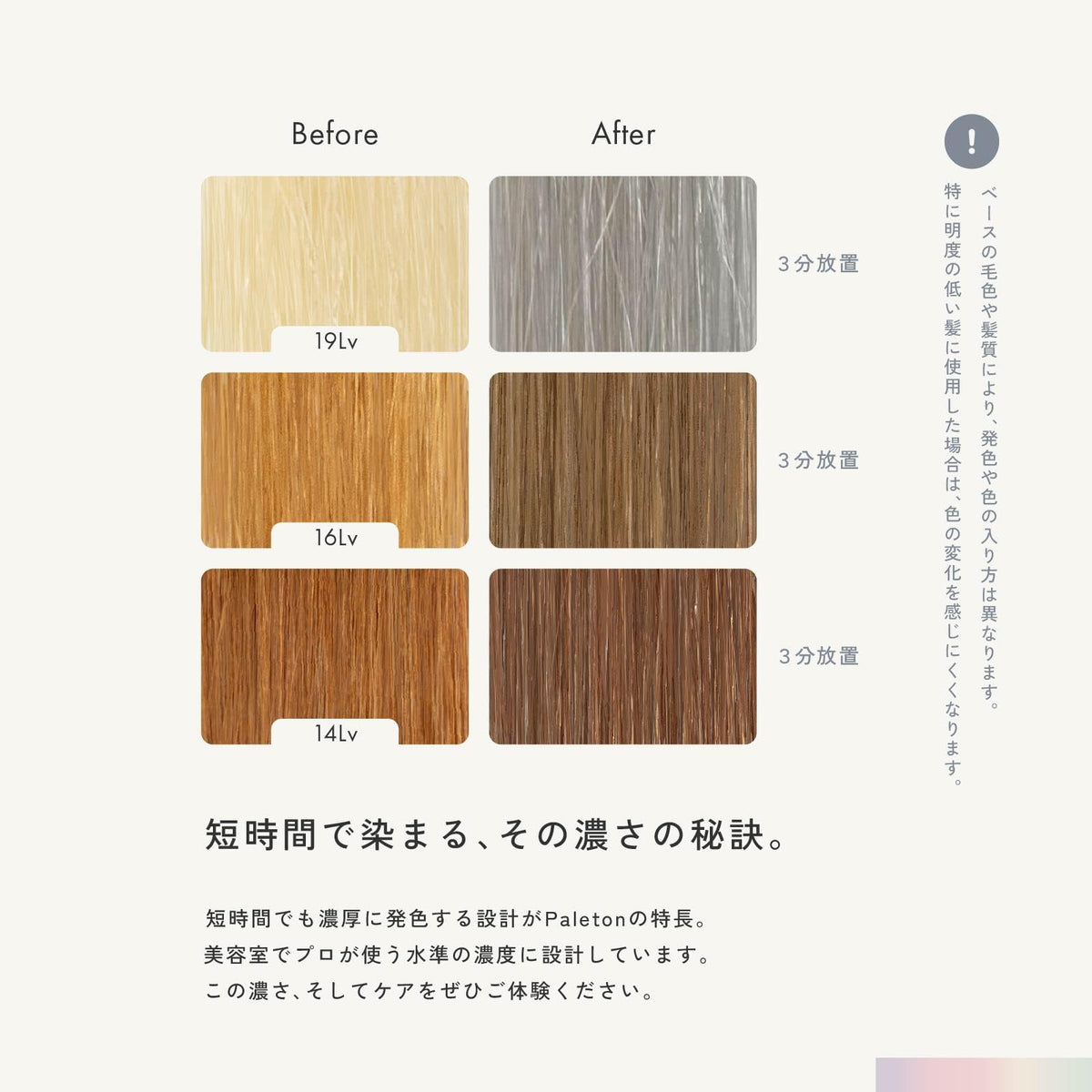 Paleton Color Treatment Silver 250g for Damaged Hair Care