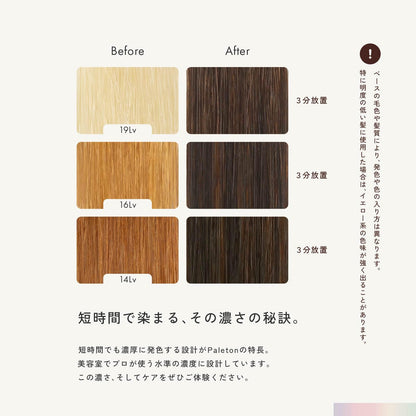 Paleton Cocoa Brown Treatment 250g for Color-Treated Hair