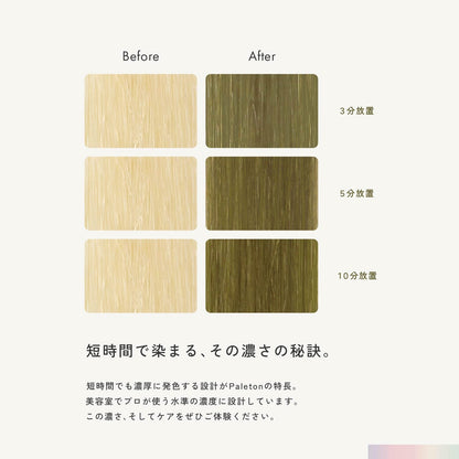 Paleton Color Treatment for Bleached Hair 250g