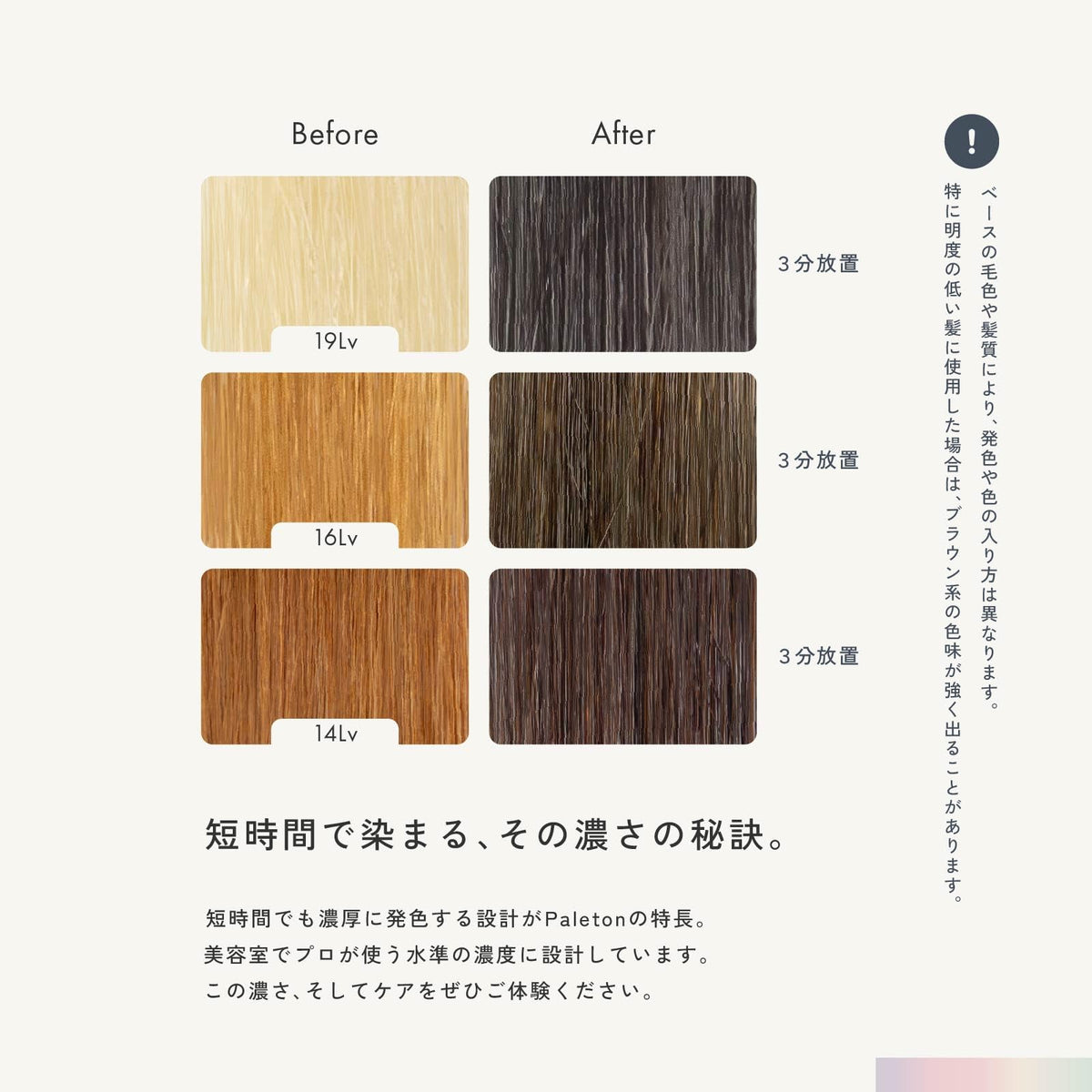 Paleton Dark Silver Color Treatment 250g for Damage Repair