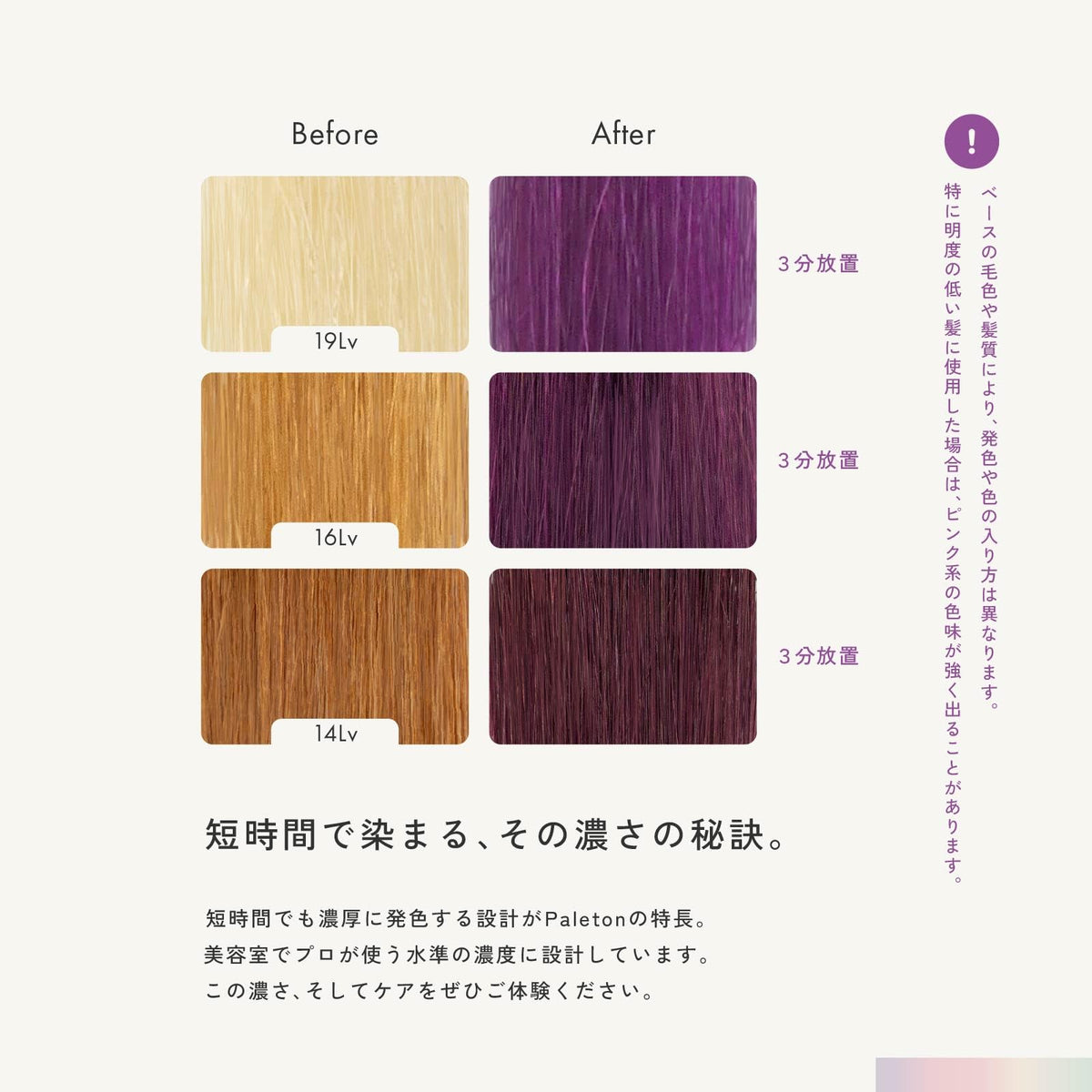 Paleton Red Purple Treatment Color Treatment 250g