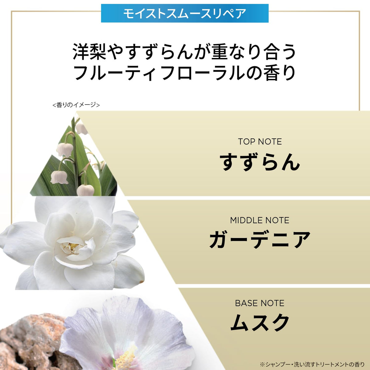 Pantene Shampoo et Après-Shampooing 400mL Ensemble Réparation Moisture