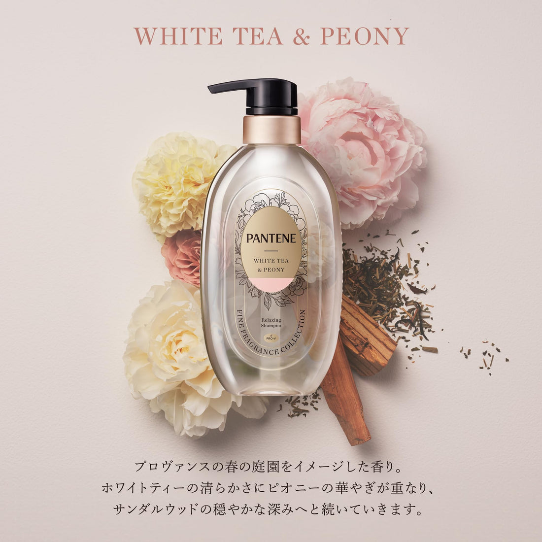 Pantene Shampoo et Après-shampoing Fine Fragrance 440g Set