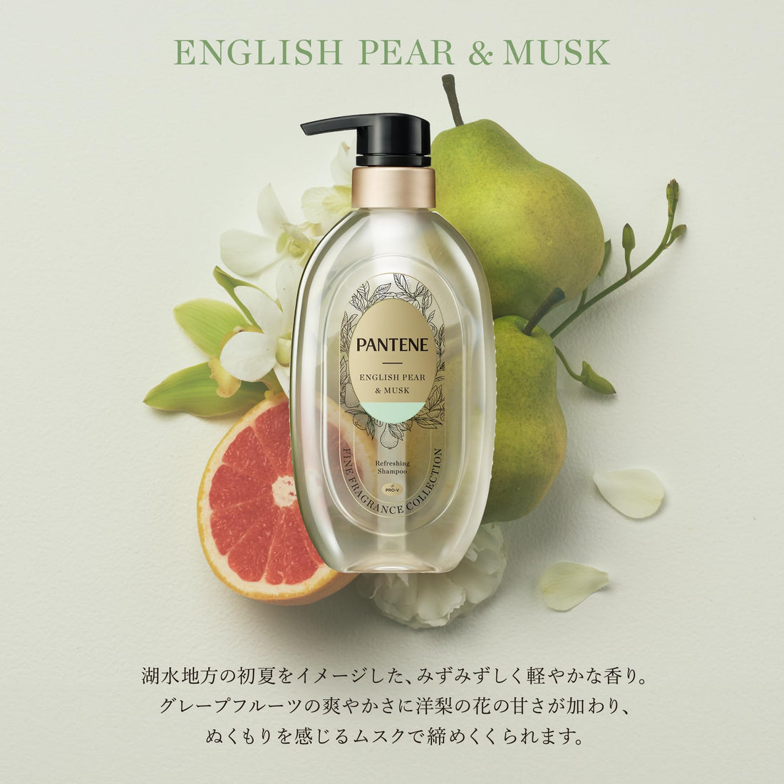 Pantene Shampoo et Après-shampoing Parfumé Anglais Poire 440g