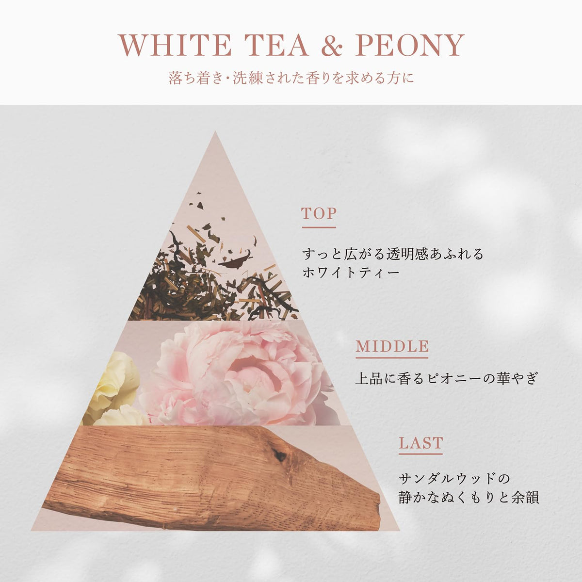 Pantene Shampoo Refill Fine Fragrance White Tea &amp; Peony 500g