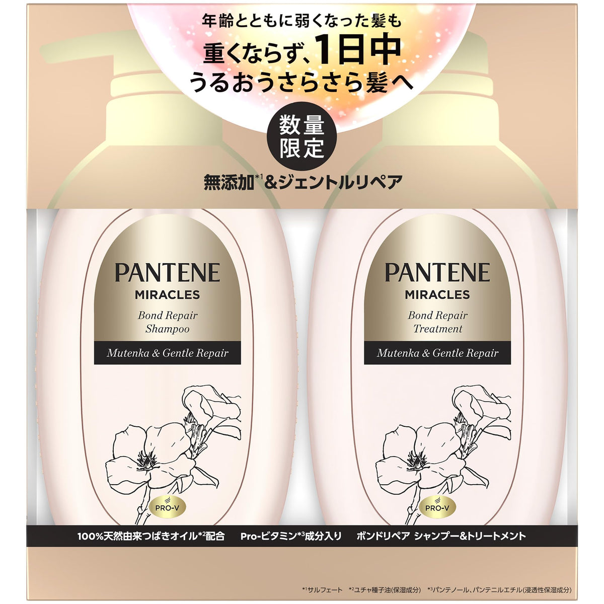 Pantene Miracles Shampoo and Conditioner Pump Set 440g Gentle Repair