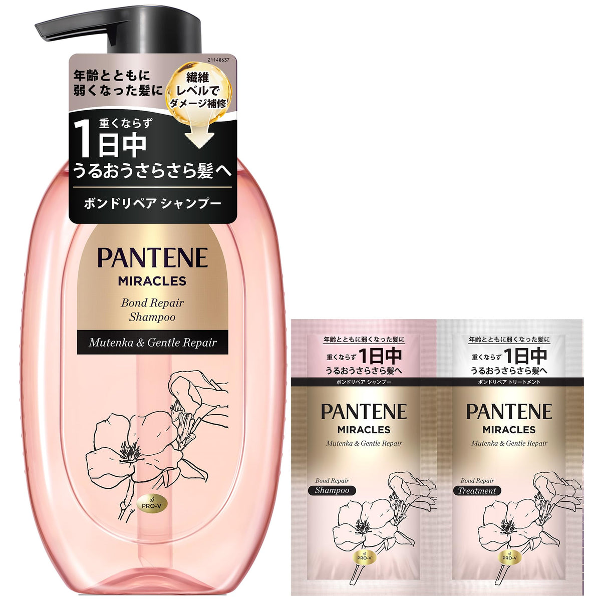 Pantene Miracles Gentle Repair Shampoo 440g with Natural Camellia Oil