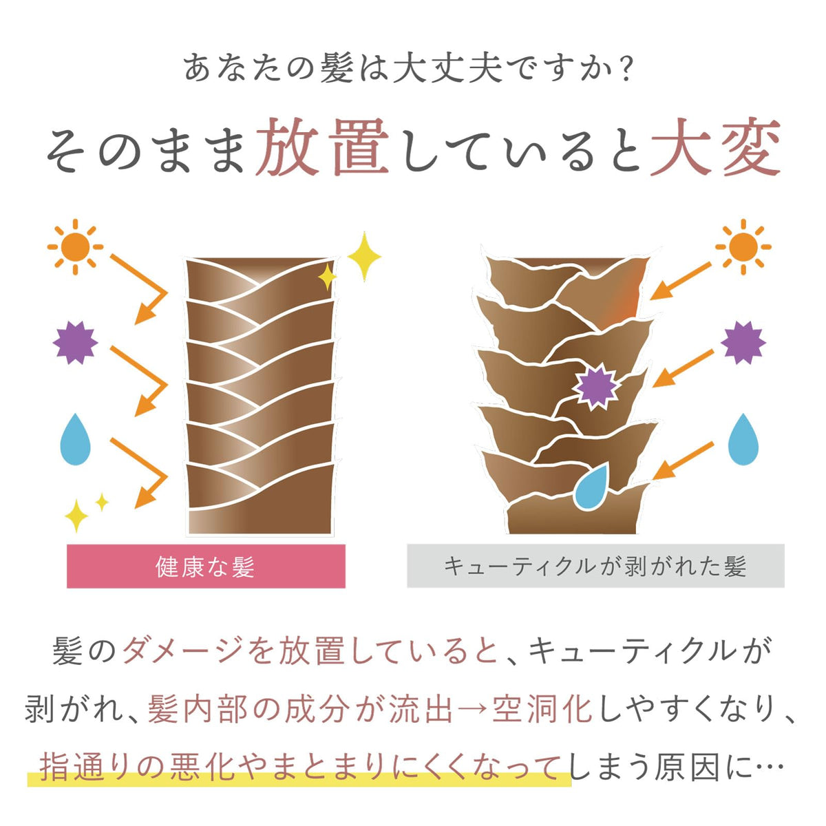 plus eau Melty Moist Shampoo Refill 1000ml for Japanese Hair Care