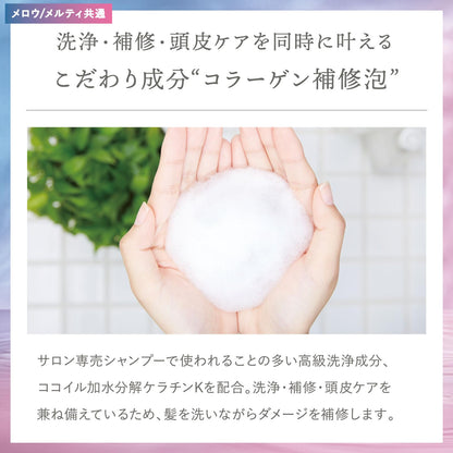 plus eau Melty Moist Shampoo Refill 1000ml for Japanese Hair Care