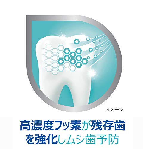 Poridento Toothpaste for Preserving Natural Teeth 100g