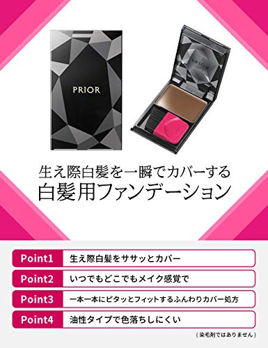 PRIOR Hair Foundation Brown for Gray Hair 3.6g
