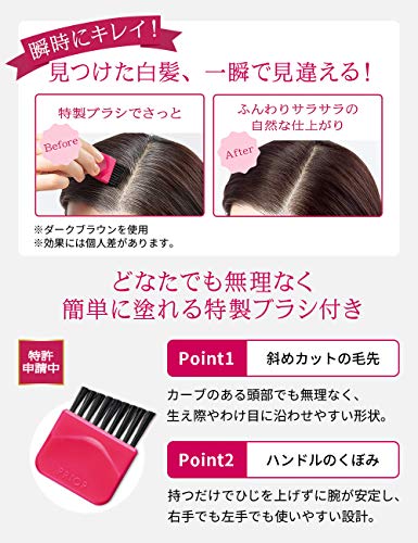 PRIOR Hair Foundation Brown for Gray Hair 3.6g