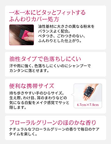 PRIOR Hair Foundation Brown for Gray Hair 3.6g