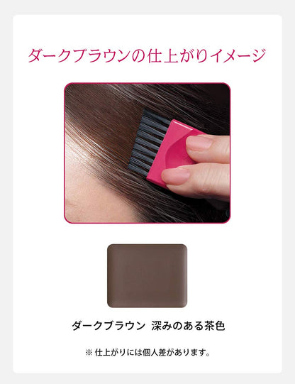 PRIOR Hair Foundation Dark Brown 3.6g for Gray Hair