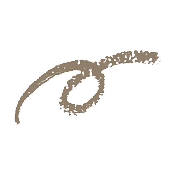 PRIOR Beauté Liftante Sourcils Soft Brown 0.25g