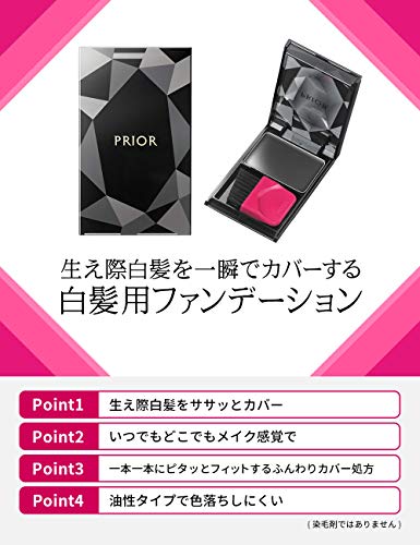 PRIOR Hair Foundation Black 3.6g for Gray Hair Coverage