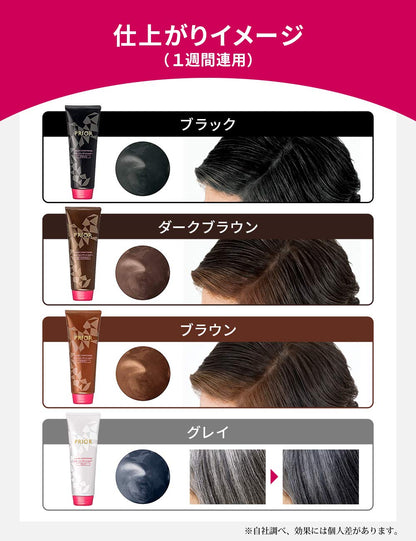 PRIOR Color Conditioner Dark Brown 230g for Japanese Hair Care