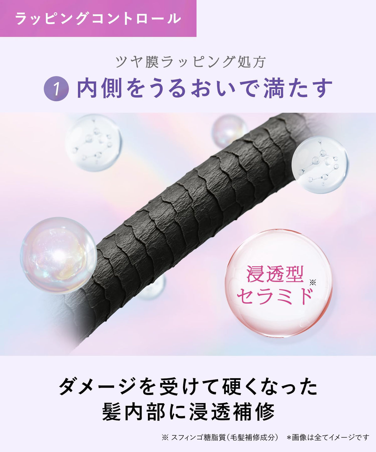 Qurap Shampoo and Treatment Refill Set for Japanese Hair Care