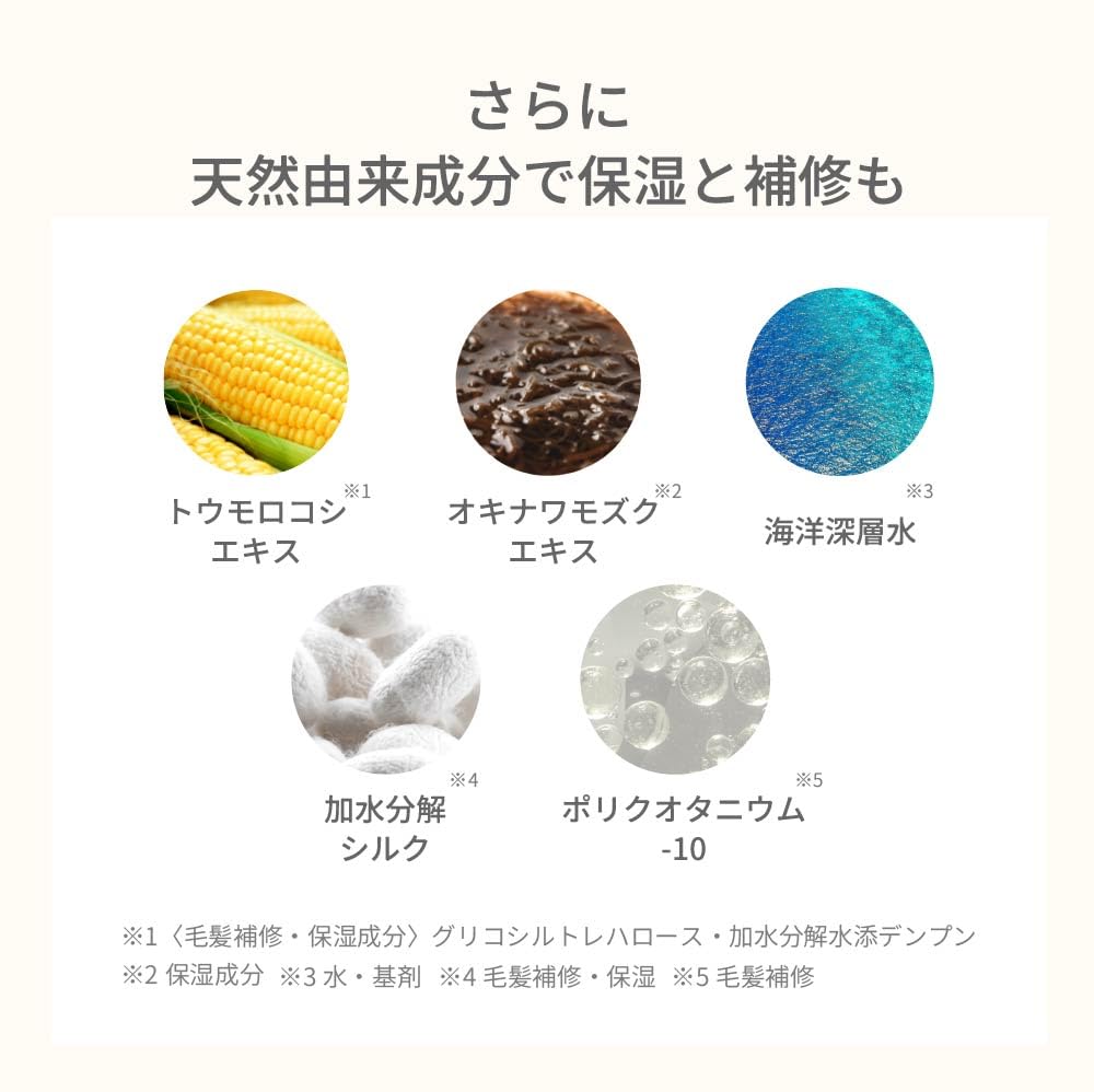 Raffi Shampoo Refill 300ml for Japanese Hair Care
