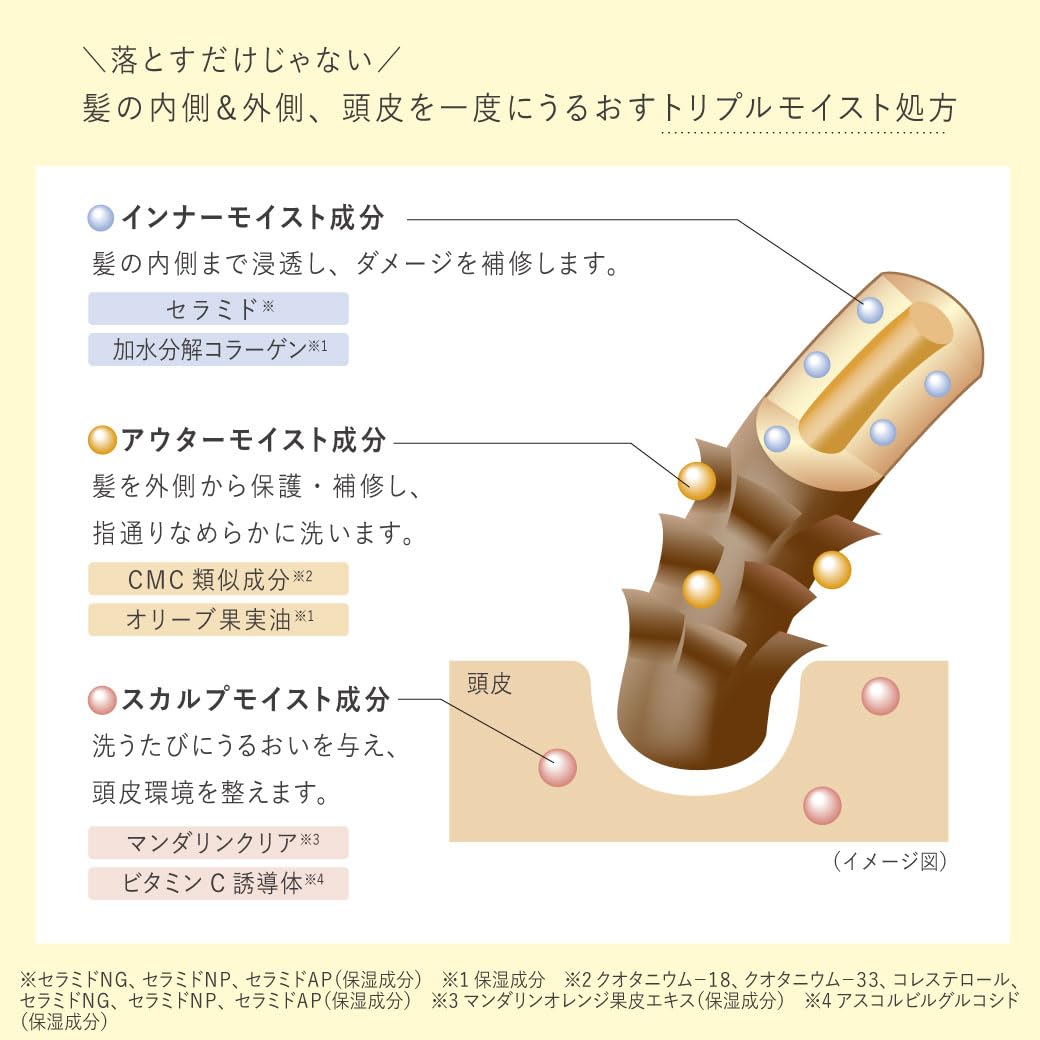 RAFRA Moisture Shampoo 400ml and Refill 330ml for Japanese Hair Care