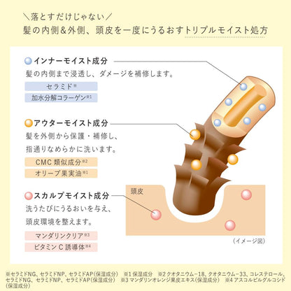 RAFRA Moisture Shampoo 400ml and Refill 330ml for Japanese Hair Care