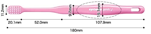 Raionshikazai Systema Genki J Toothbrush for Gentle Care