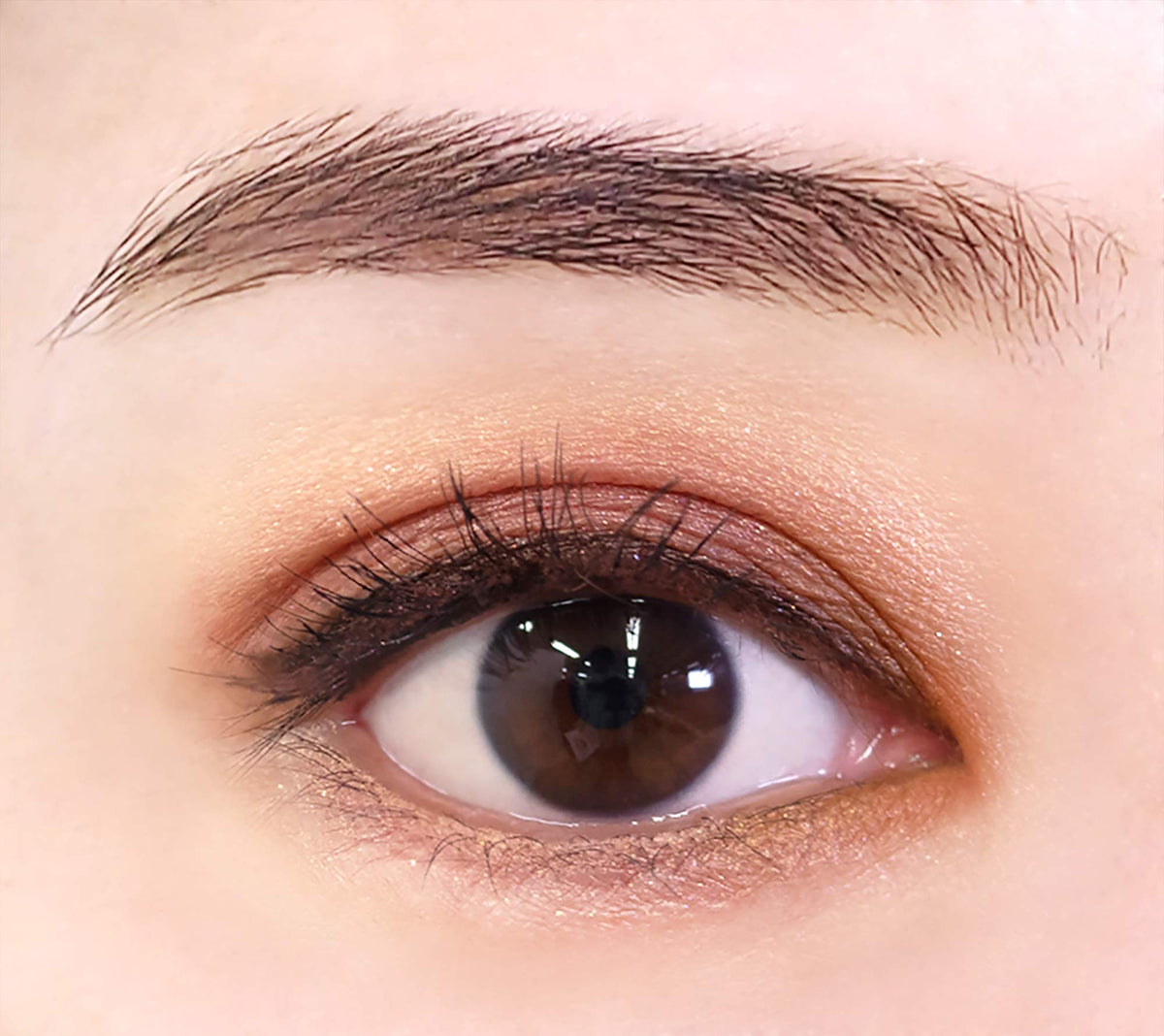 Reburon ColorStay Looks Book Palette Dreamer 3.4g Multi-Color Eyeshadow