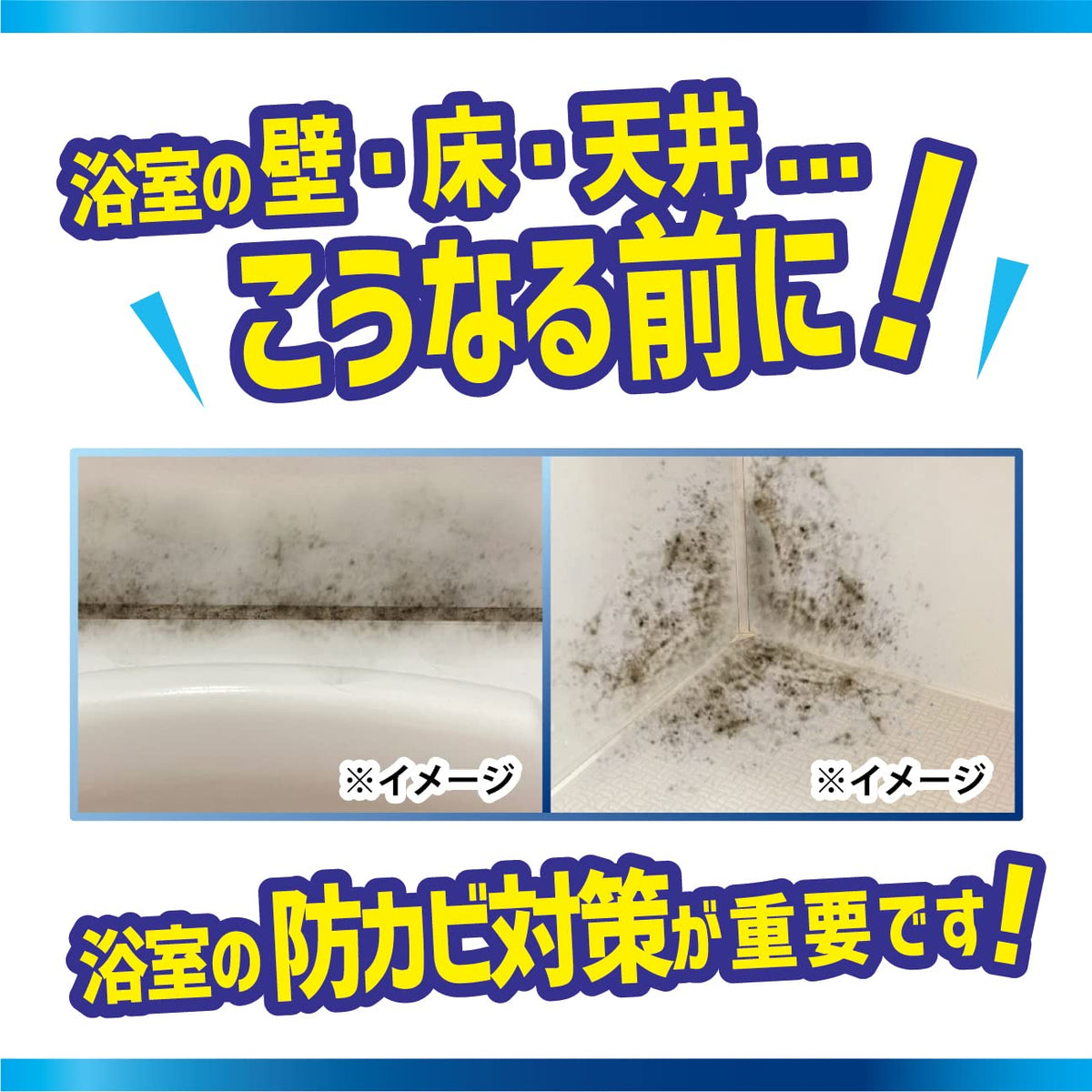 Liberata Bio Buster Mold Prevention for Bathrooms 9-Month Effectiveness