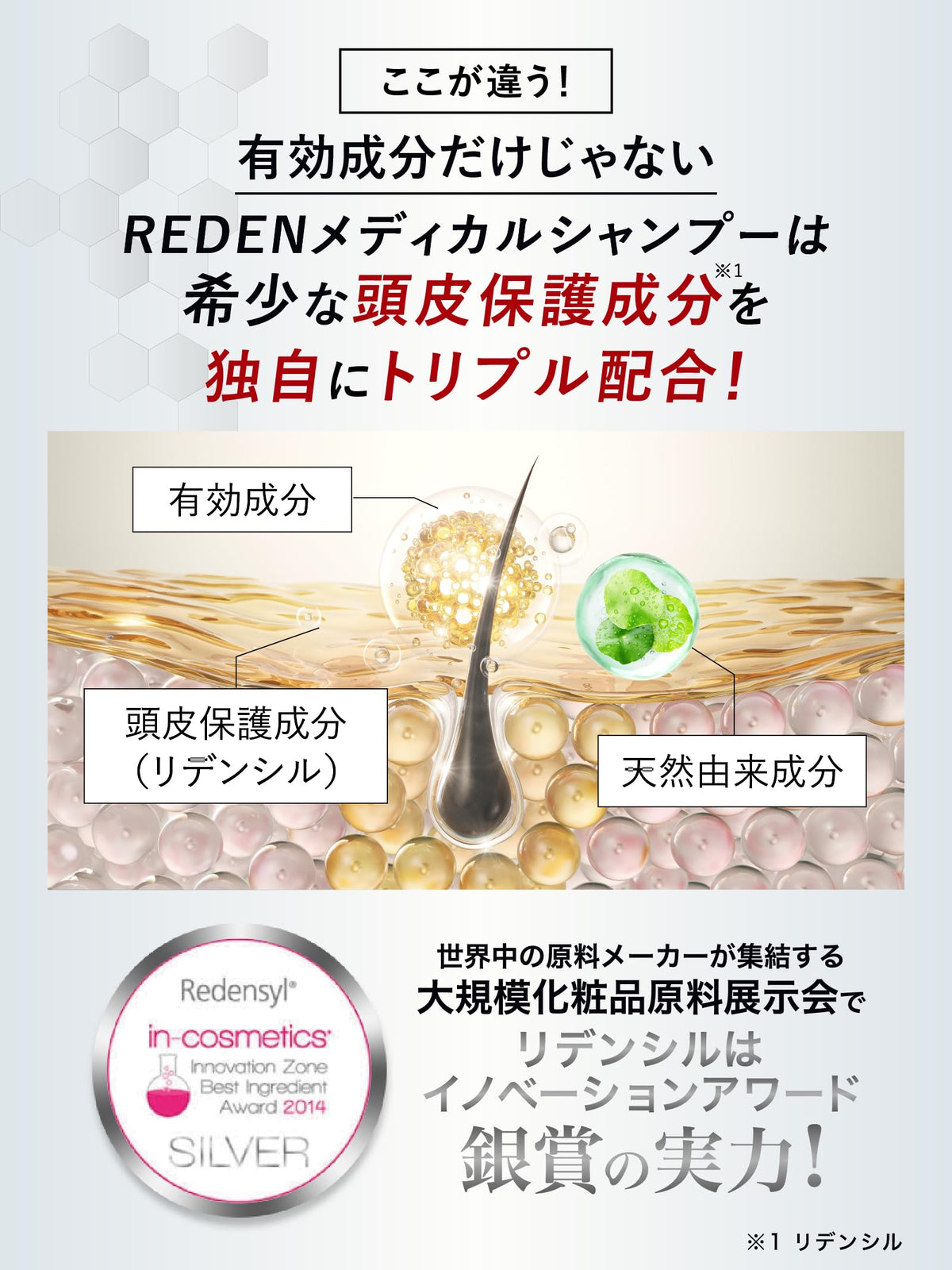 REDEN Shampoo with Amino Acids 320ml for Japanese Hair Care