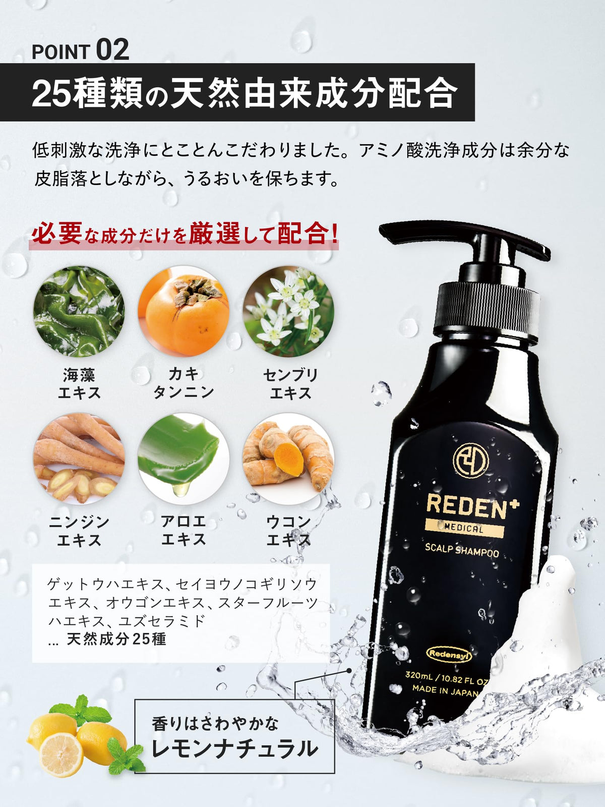 REDEN Shampoo with Amino Acids 320ml for Japanese Hair Care