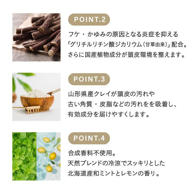 rinRen Mint and Lemon Shampoo 400ml for Japanese Hair Care