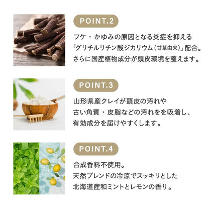 rinRen Mint and Lemon Shampoo 400ml for Japanese Hair Care