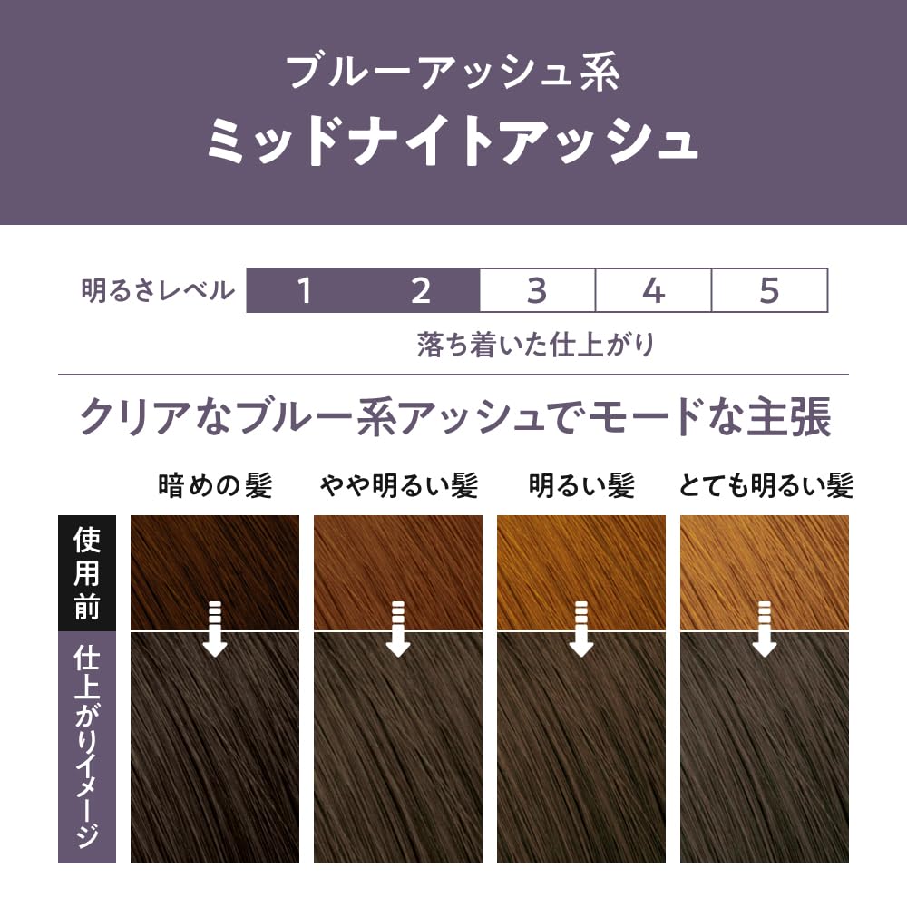 Liese Midnight Ash Hair Color Foam for Black Hair