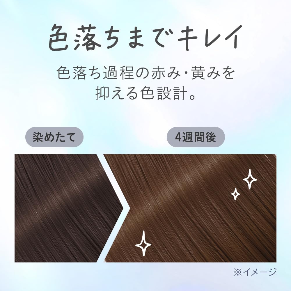 Liese Tint Color Gel Sheer Gray 191ml Japanese Hair Care