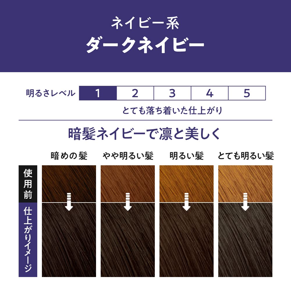 Liese Foam Color Dark Navy 108ml Japanese Hair Care