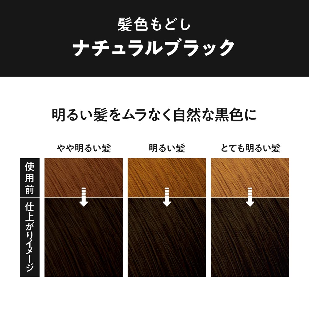Liese Foam Color Natural Black 108ml Hair Color Restorer