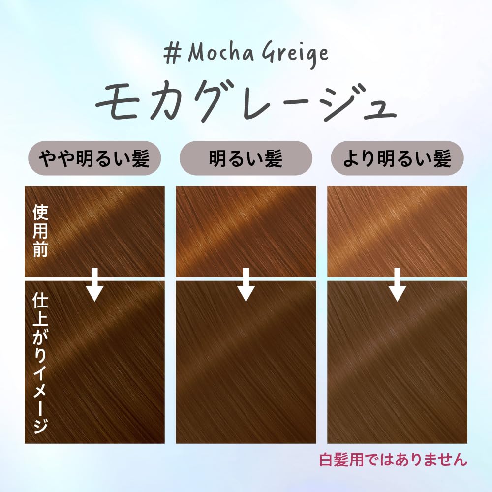 Liese Tint Color Gel Mocha Greige 191ml Japanese Hair Care