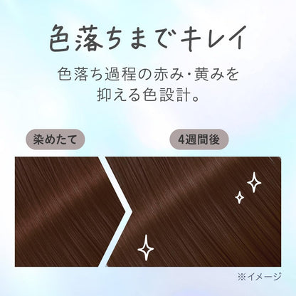 Liese Tint Color Gel Mocha Greige 191ml Japanese Hair Care