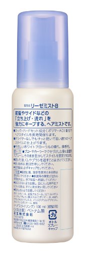 Liese Point Mist 100ml