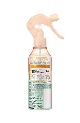 Liese Shower for Creating an Inward Style 200ml