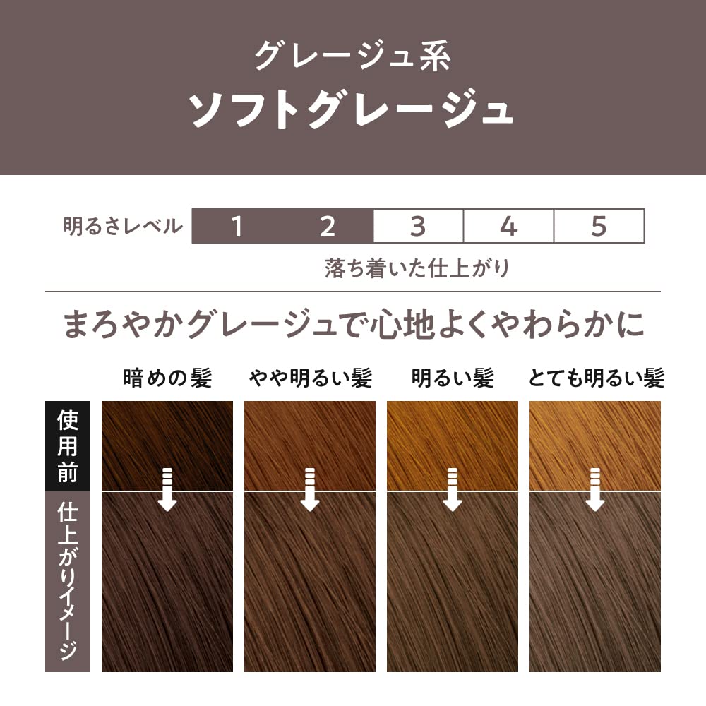 Liese Bubble Color Soft Greige 108ml Japanese Hair Care