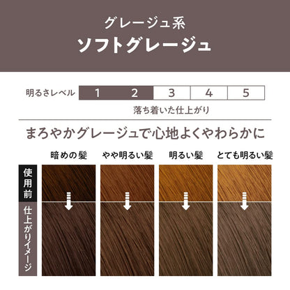 Liese Bubble Color Soft Greige 108ml Japanese Hair Care