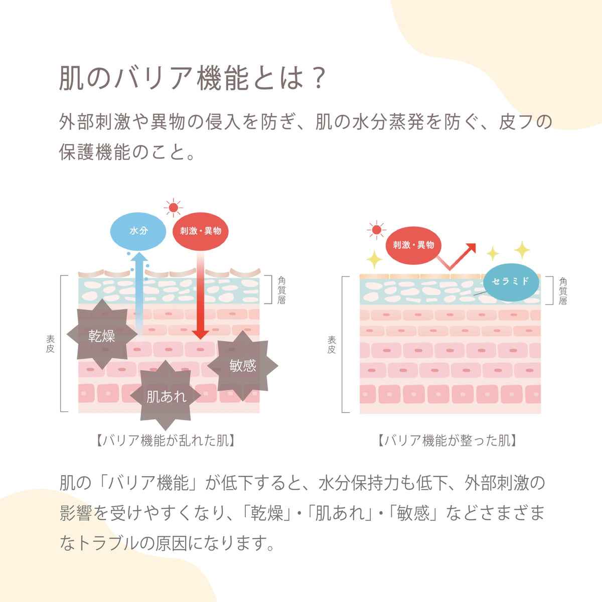 ROSETTE u Lotion 150ml Hydrating Japanese Skincare for All Ages