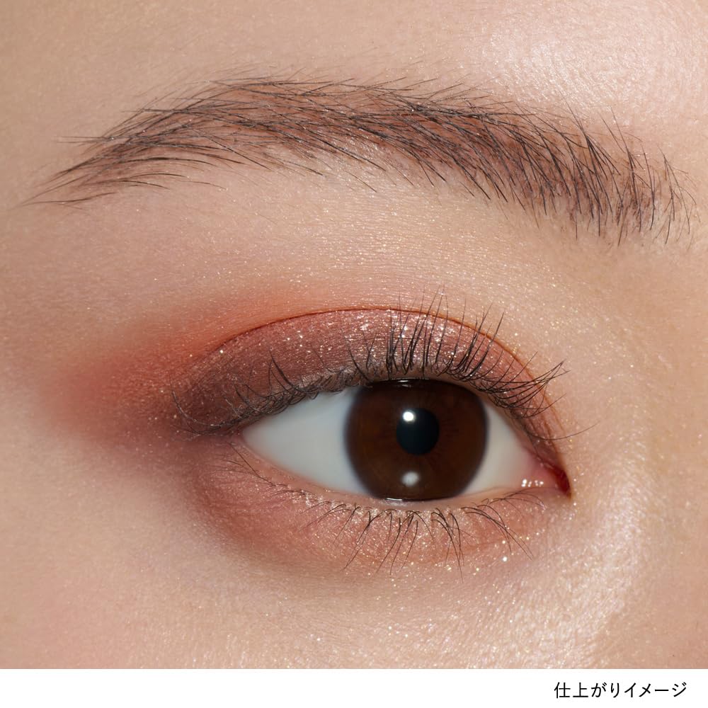 LUNASOL Palette de Fards à Paupières EX05 pour un Regard Éblouissant