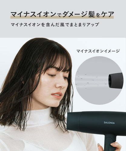 SALONIA Speedy Ion Hair Dryer Lightweight High Airflow Gray
