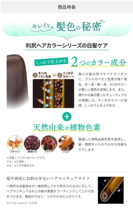Sastty Traitement Capillaire Colorant 200g pour Cheveux Gris