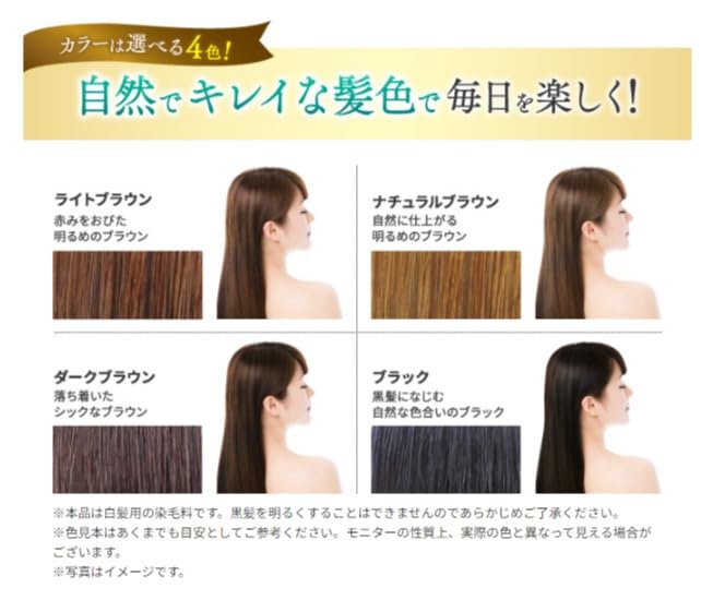 Sastty Hair Color Treatment for Gray Hair 200g Black