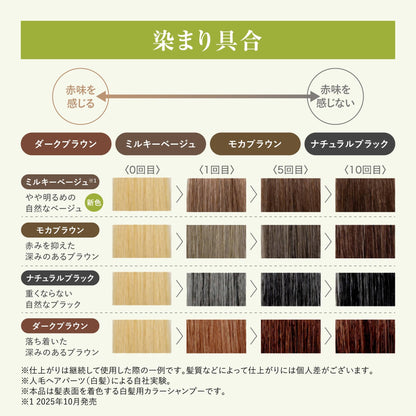 Sastty RISHIRIA Furel Shampoo Crème Colorante Mocha Brun 240g