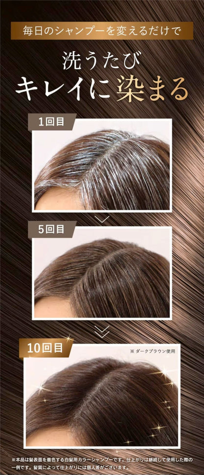 Sastty Natural Brown Hair Color Shampoo 500ml Set with Conditioner