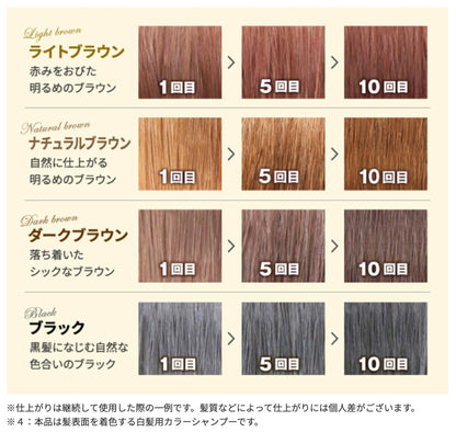 Sastty Natural Brown Hair Color Shampoo 500ml Set with Conditioner